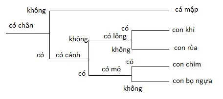 KHTN Lớp 6 Bài 26: Khoá lưỡng phân