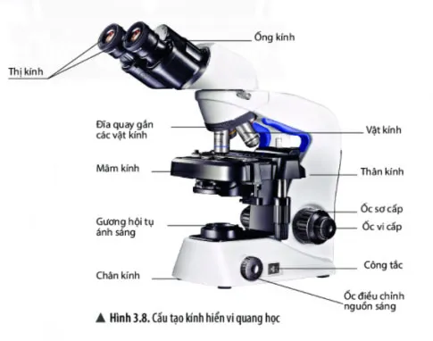 KHTN Lớp 6 Bài 3: Quy định an toàn trong phòng thực hành. Giới thiệu một số dụng cụ đo – Sử dụng kính lúp và kính hiển vi quang học