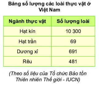 KHTN Lớp 6 Bài 34: Thực vật