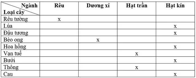 KHTN Lớp 6 Bài 34: Thực vật