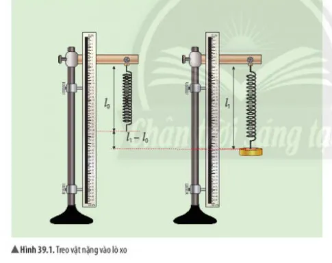 KHTN Lớp 6 Bài 39: Biến dạng của lò xo. Phép đo lực