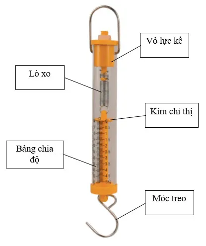 KHTN Lớp 6 Bài 39: Biến dạng của lò xo. Phép đo lực