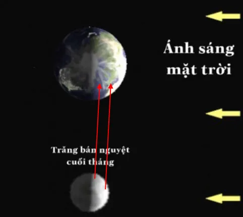 KHTN Lớp 6 Bài 44: Chuyển động nhìn thấy của Mặt Trăng