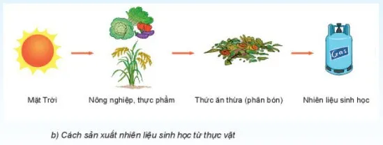 KHTN Lớp 6 Bài 50: Năng lượng tái tạo