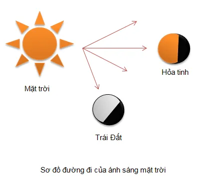 KHTN Lớp 6: Bài tập Chủ đề 11