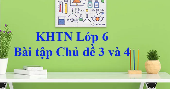 KHTN Lớp 6: Bài tập Chủ đề 3 và 4