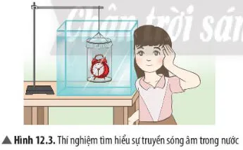 KHTN Lớp 7 Bài 12: Mô tả sóng âm