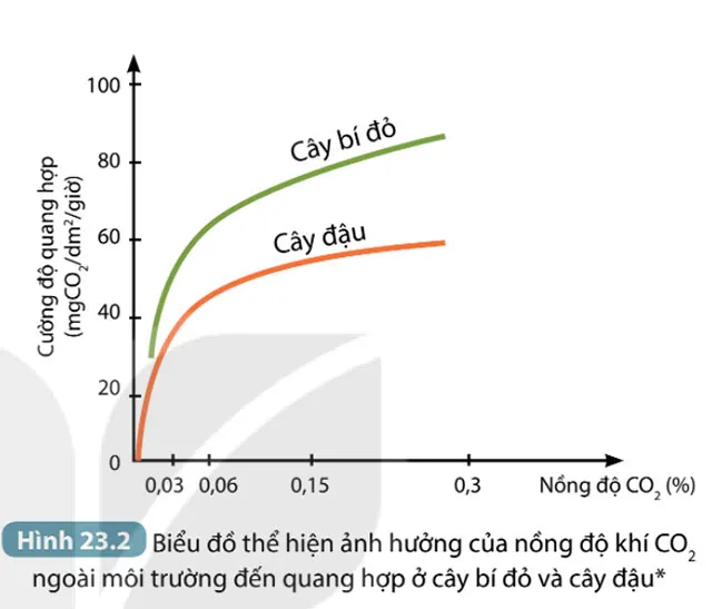 KHTN Lớp 7 Bài 23: Một số yếu tố ảnh hưởng đến quang hợp