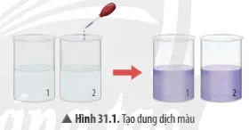 KHTN Lớp 7 Bài 31: Thực hành chứng minh thân vận chuyển nước và lá thoát hơi nước