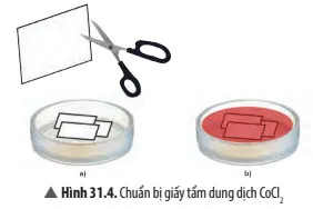 KHTN Lớp 7 Bài 31: Thực hành chứng minh thân vận chuyển nước và lá thoát hơi nước