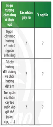 KHTN Lớp 7 Bài 32: Cảm ứng ở sinh vật