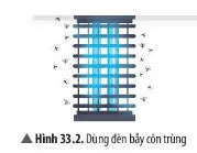 KHTN Lớp 7 Bài 33: Tập tính ở động vật