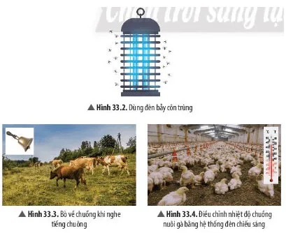 KHTN Lớp 7 Bài 33: Tập tính ở động vật