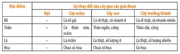 KHTN Lớp 7 Bài 34: Sinh trưởng và phát triển ở sinh vật