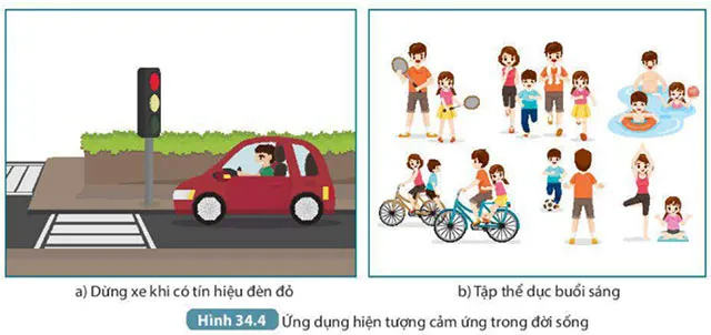 KHTN Lớp 7 Bài 34: Vận dụng hiện tượng cảm ứng ở sinh vật vào thực tiễn