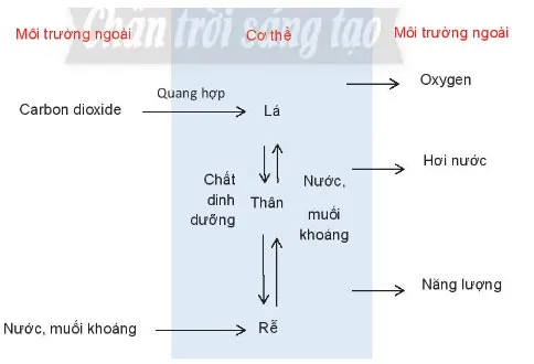 KHTN Lớp 7 Bài 39: Chứng minh cơ thể sinh vật là một thể thống nhất