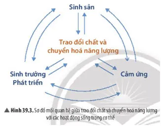 KHTN Lớp 7 Bài 39: Chứng minh cơ thể sinh vật là một thể thống nhất