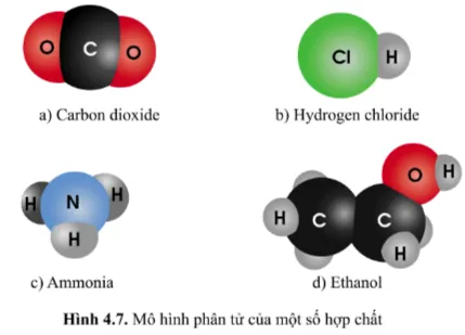 KHTN Lớp 7 Bài 4: Phân tử, đơn chất, hợp chất