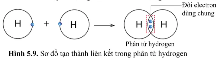 KHTN Lớp 7 Bài 5: Giới thiệu về liên kết hóa học