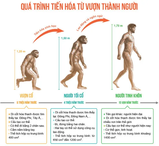 Lịch sử 6 Bài 4: Nguồn gốc loài người