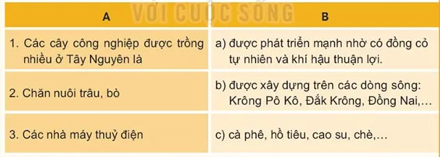 Lịch sử Địa lí lớp 4 Bài 21: Dân cư và hoạt động sản xuất ở vùng Tây Nguyên