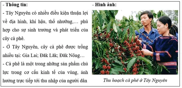 Lịch sử Địa lí lớp 4 Bài 21: Dân cư và hoạt động sản xuất ở vùng Tây Nguyên