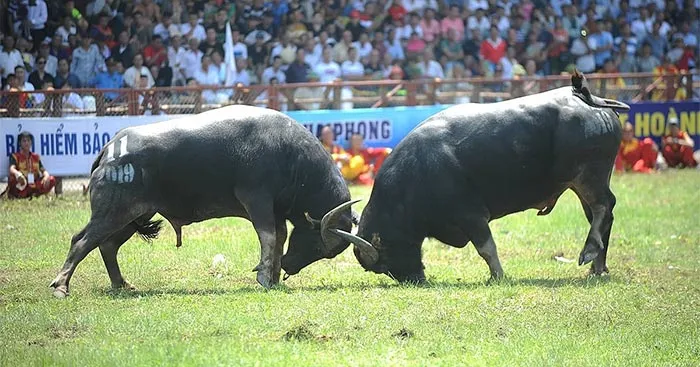 Lịch sử Địa lí lớp 4 Bài 3: Lịch sử và văn hóa truyền thống địa phương