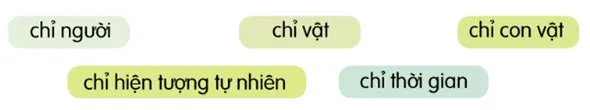 Luyện từ và câu: Danh từ – Tiếng Việt 4 Cánh diều