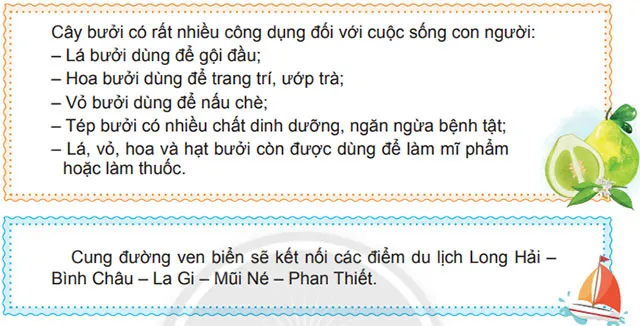 Luyện từ và câu: Dấu gạch ngang – Tiếng Việt 4 Chân trời sáng tạo