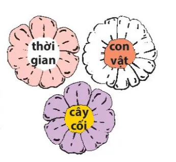 Luyện từ và câu: Luyện tập về danh từ – Tiếng Việt 4 Kết nối tri thức