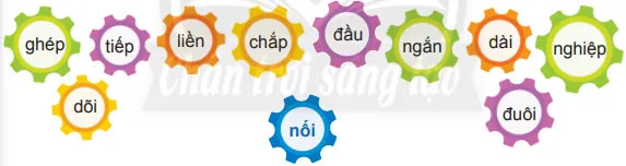 Luyện từ và câu: Mở rộng vốn từ Kết nối – Tiếng Việt 4 Chân trời sáng tạo