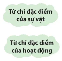 Luyện từ và câu: Tính từ – Tiếng Việt 4 Kết nối tri thức