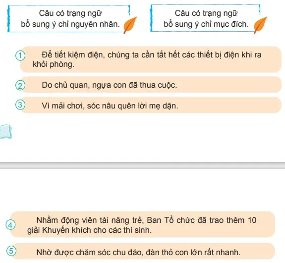 Luyện từ và câu: Trạng ngữ chỉ mục đích, nguyên nhân – Tiếng Việt 4 Chân trời sáng tạo