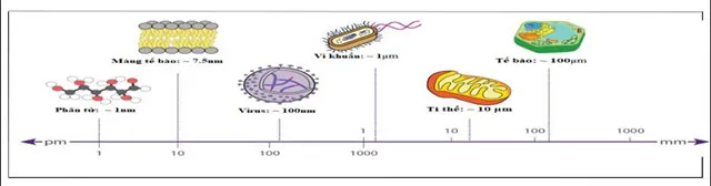 Mẫu bài dạy minh họa Mô đun 4 môn Khoa học tự nhiên THCS