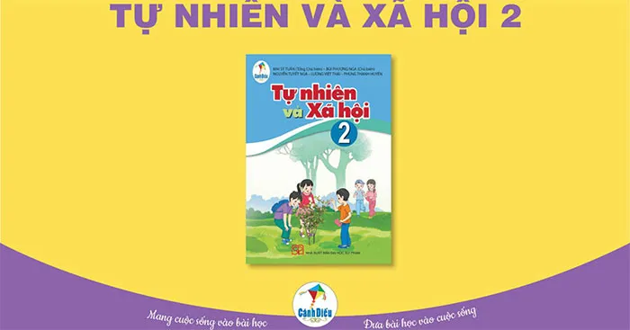 Ngân hàng câu hỏi tập huấn Tự nhiên và xã hội lớp 2 sách Cánh diều