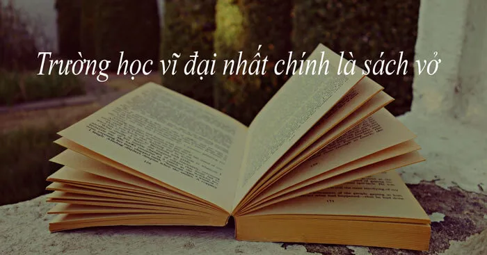 Nghị luận câu Trường học vĩ đại nhất chính là sách vở (3 mẫu)