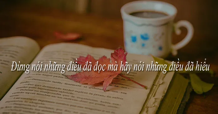 Nghị luận về câu Đừng nói những điều đã đọc mà hãy nói những điều đã hiểu