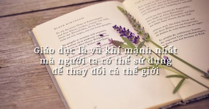 Nghị luận về câu Giáo dục là vũ khí mạnh nhất mà người ta có thể sử dụng để thay đổi cả thế giới