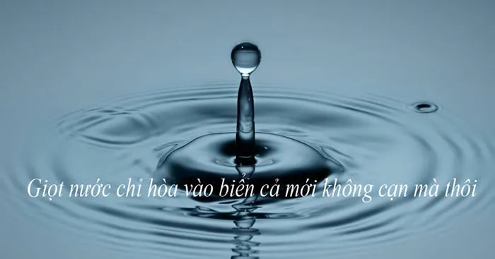 Nghị luận về câu Giọt nước chỉ hòa vào biển cả mới không cạn mà thôi (Dàn ý + 5 mẫu)