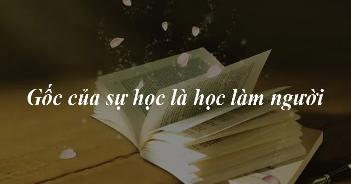 Nghị luận về ý kiến Gốc của sự học là học làm người (Dàn ý + 3 mẫu)