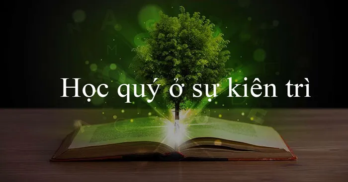 Nghị luận về ý kiến Học quý ở sự kiên trì (3 mẫu)