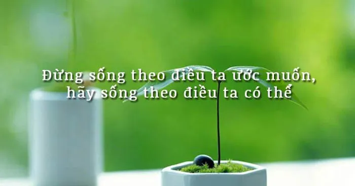 Nghị luận xã hội Đừng sống theo điều ta ước muốn, hãy sống theo điều ta có thể (Dàn ý + 6 mẫu)