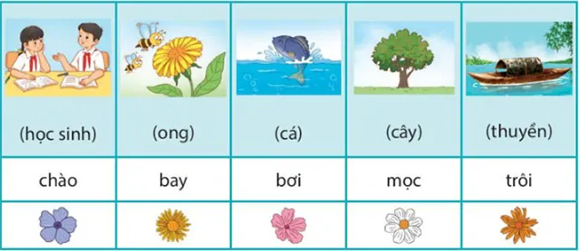 Ôn tập giữa học kì 1 Tiết 3, 4