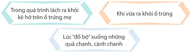 Ôn tập giữa học kì 2 Tiết 3, 4