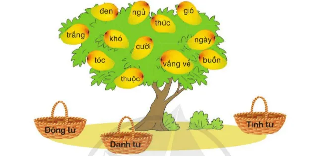 Ôn tập học kì 1 Tiết 1