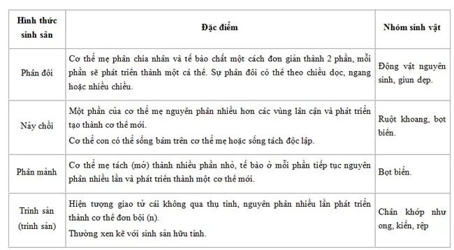 Phân biệt các hình thức sinh sản vô tính ở động vật