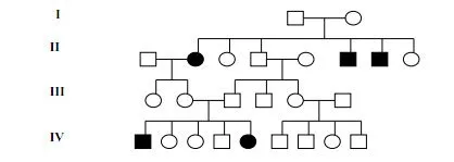 Phân dạng bài tập di truyền học người phần phả hệ