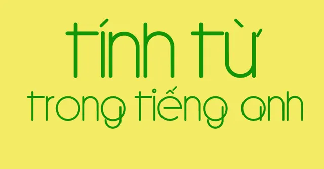 Phân loại và cách sử dụng tính từ trong tiếng Anh