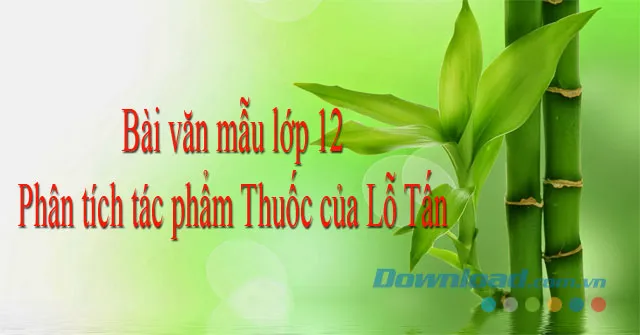 Phân tích tác phẩm Thuốc (Dàn ý + 5 mẫu)