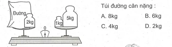 Phiếu bài tập cuối tuần lớp 2 môn Toán Cánh Diều – Tuần 7